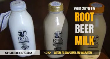 Root Beer Milk: Where to Buy This Unique Treat?