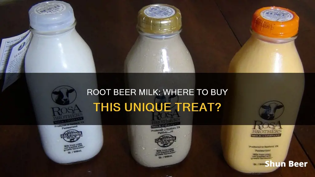 where can you buy root beer milk