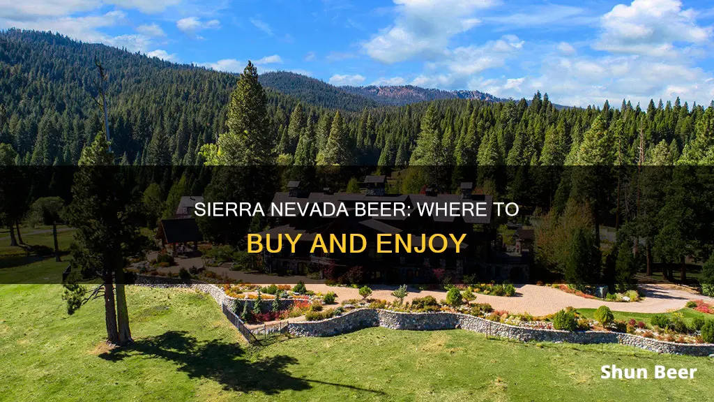 where can you buy sierra nevada beer