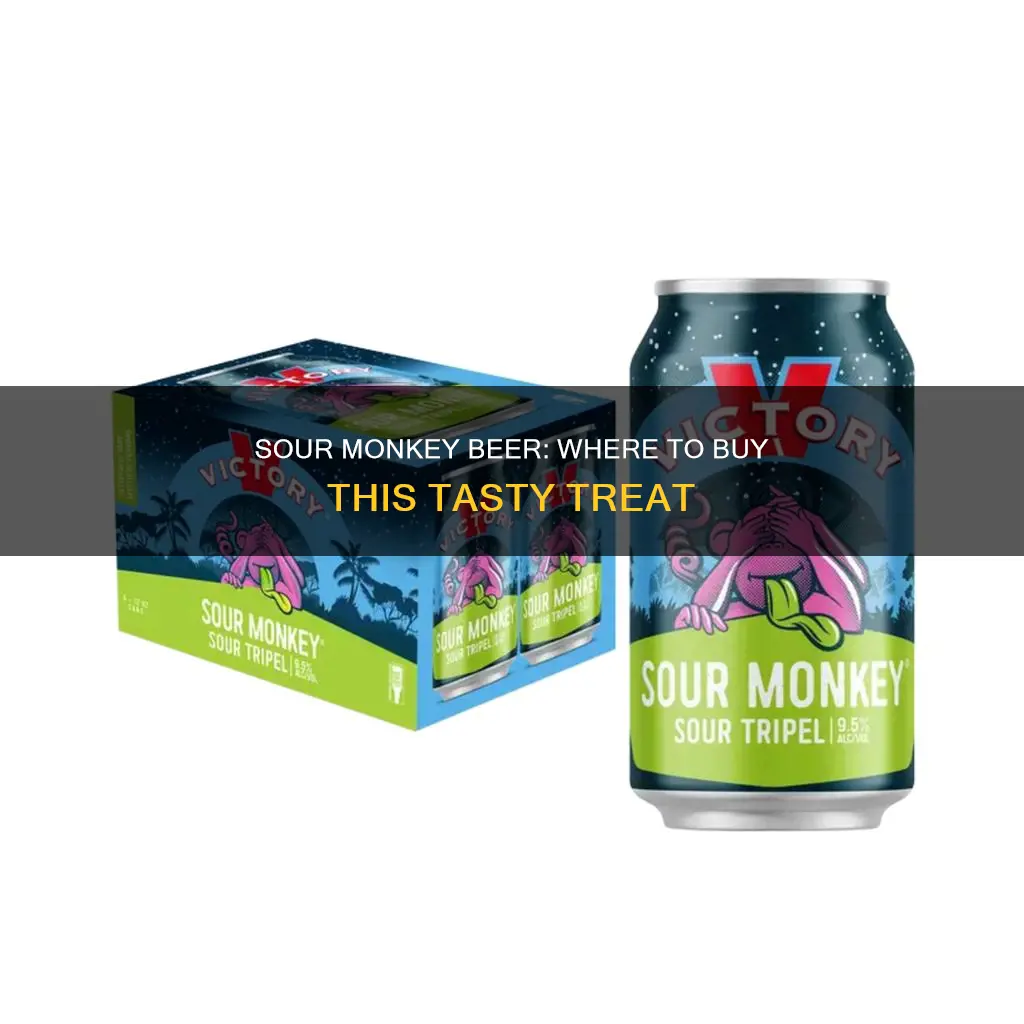 Sour Monkey Beer: Where To Buy This Tasty Treat | ShunBeer