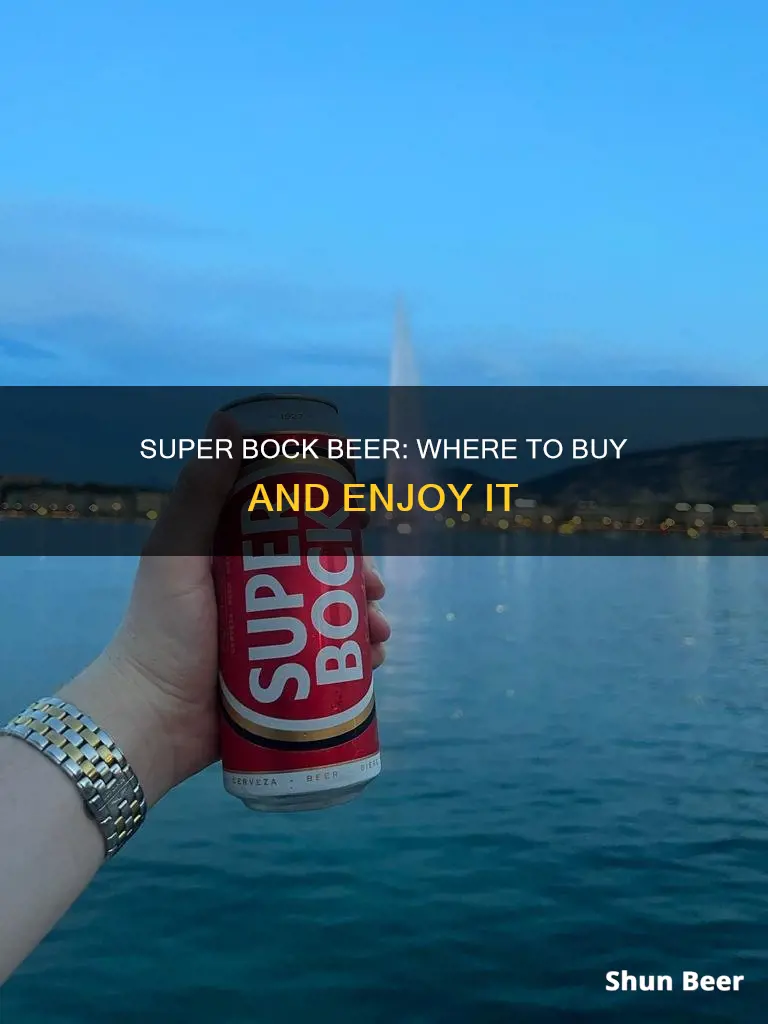 where can you buy super bock beer