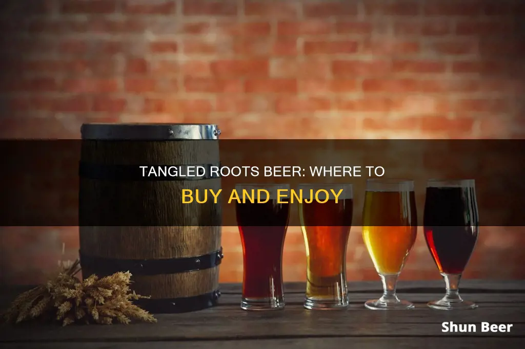 where can you buy tangled roots beer