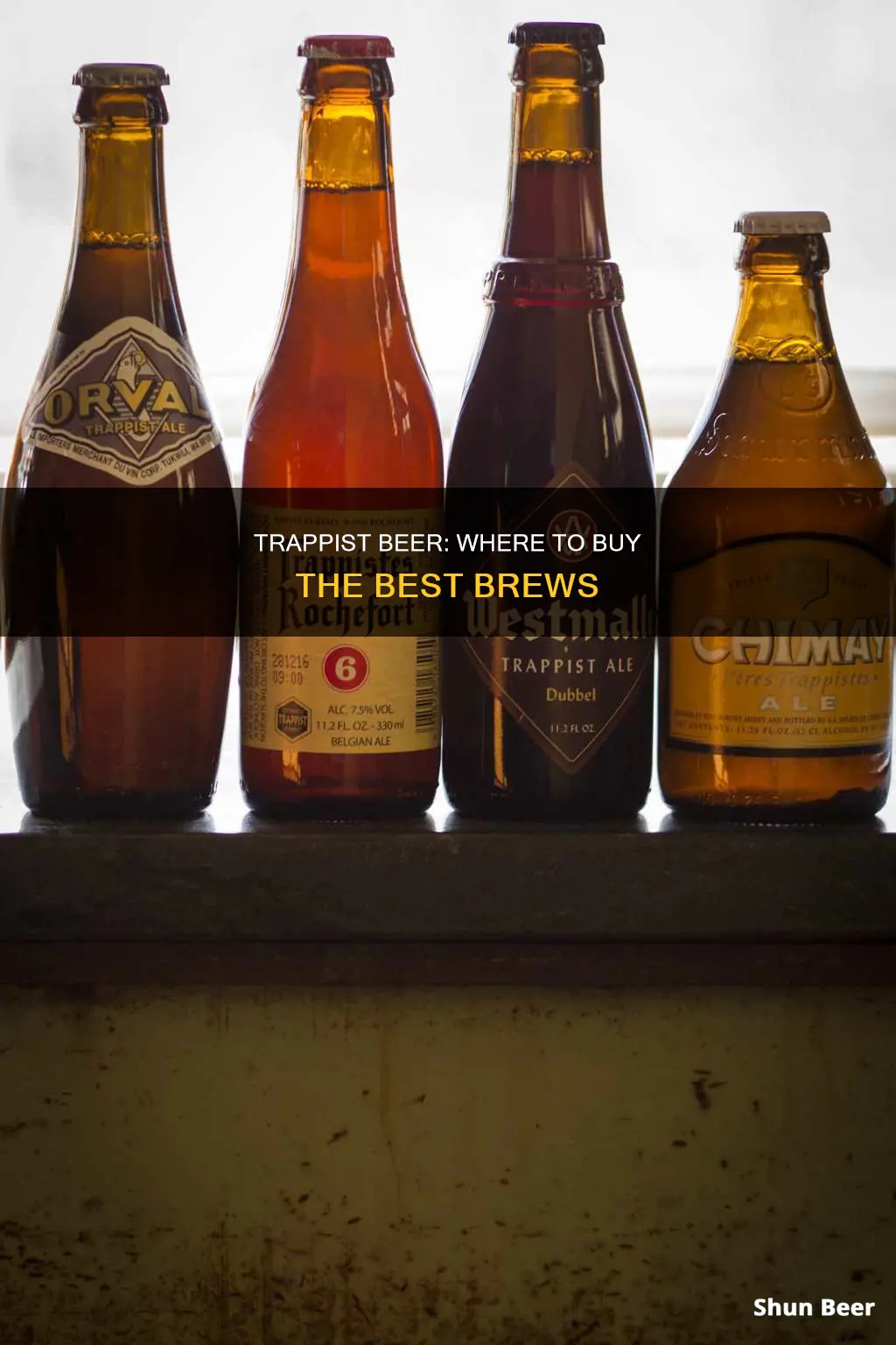 where can you buy trappist beer