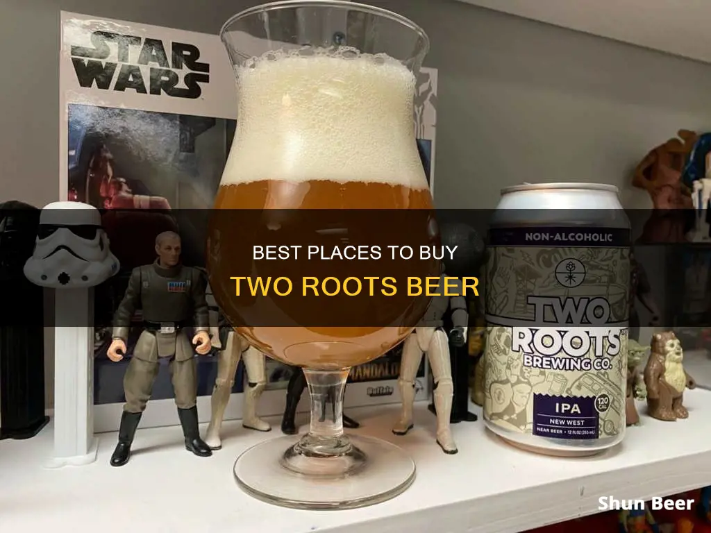 where can you buy two roots beer