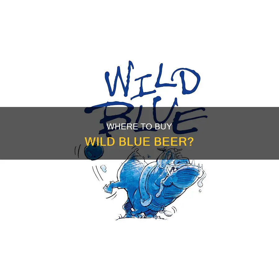 where can you buy wild blue beer