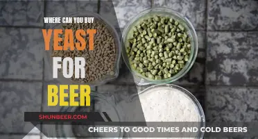 Best Places to Buy Yeast for Brewing Beer