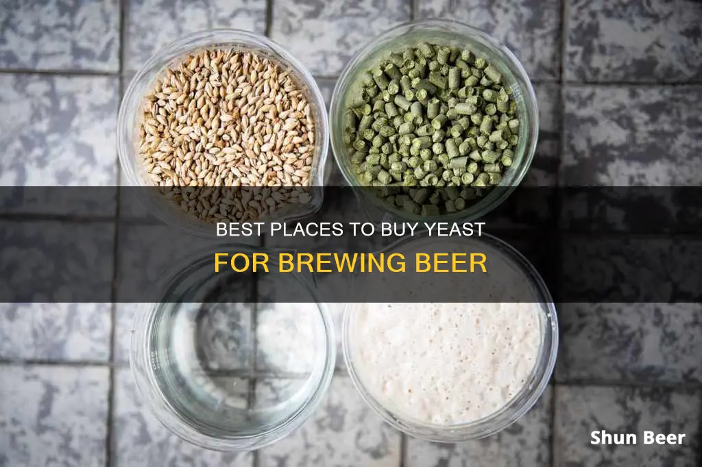 where can you buy yeast for beer