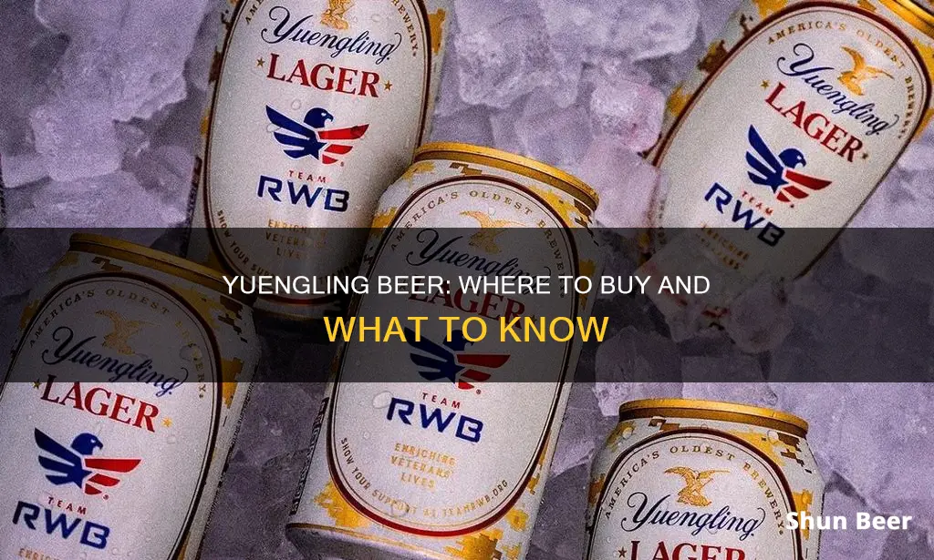 where can you buy yuengling