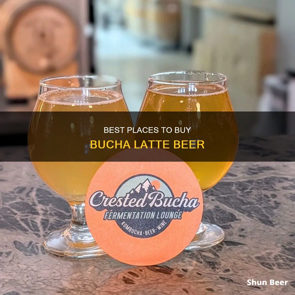 where do you buy buach latte beer