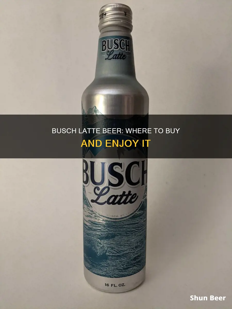 where do you buy busch latte beer