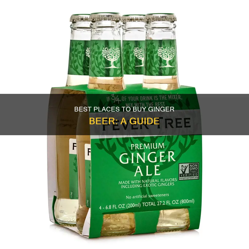 where do you buy ginger beer