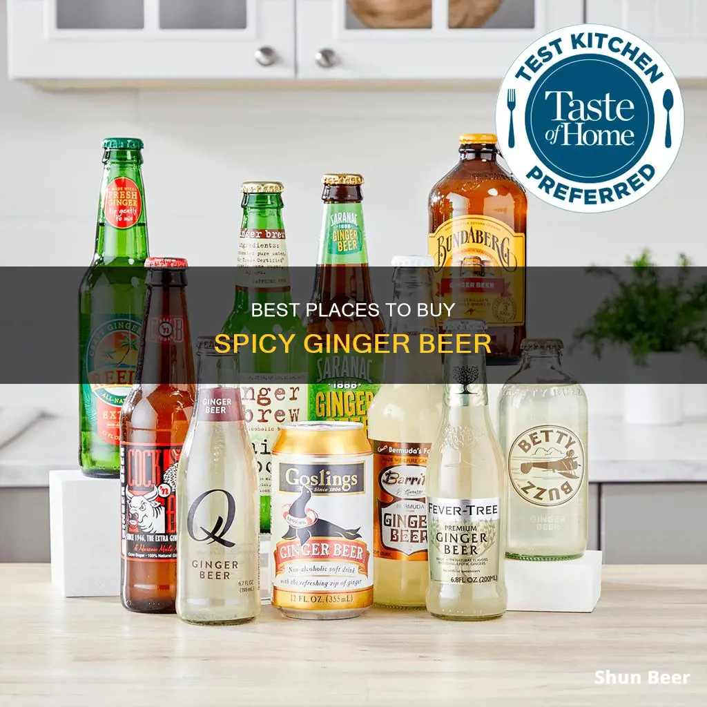 where do you buy spicy ginger beer