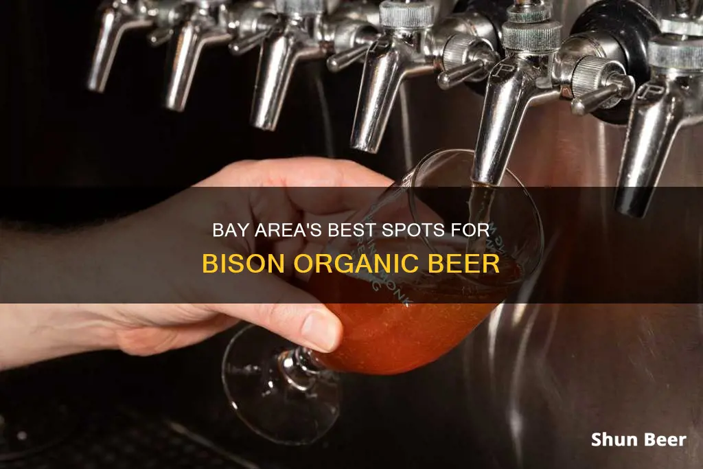 where in bay area buy bison organic beer