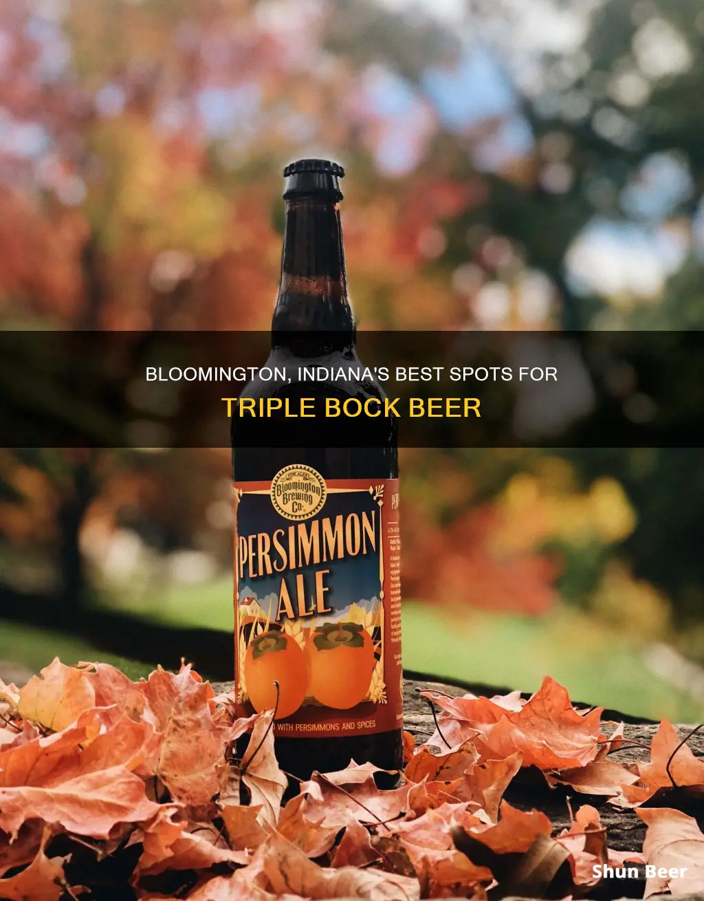 where in bloomington indiana can you buy triple bock beer