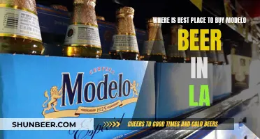 Best Modelo Beer in LA: Where to Buy