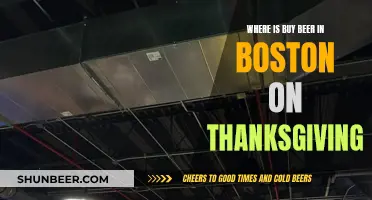 Boston Beer Buying Guide for Thanksgiving