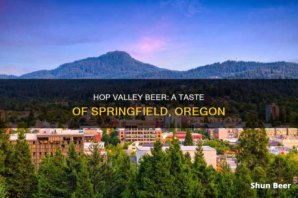 where is hop valley beer from