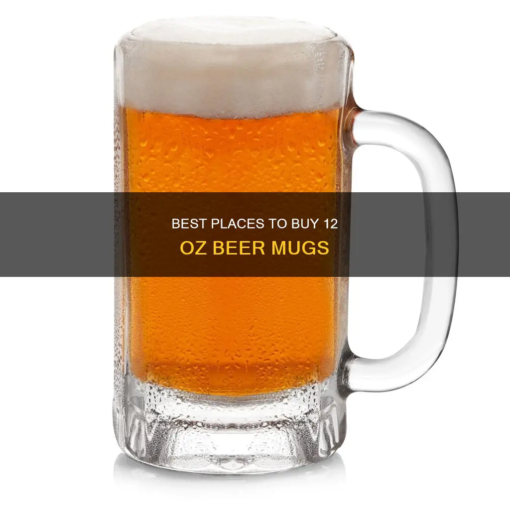 where to buy 12 oz beer mugs