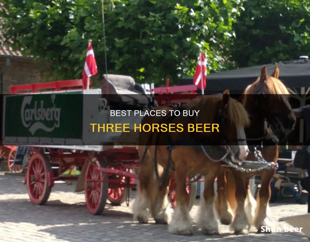 where to buy 3 horses beer