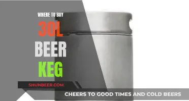 Best Places to Buy 30L Beer Kegs