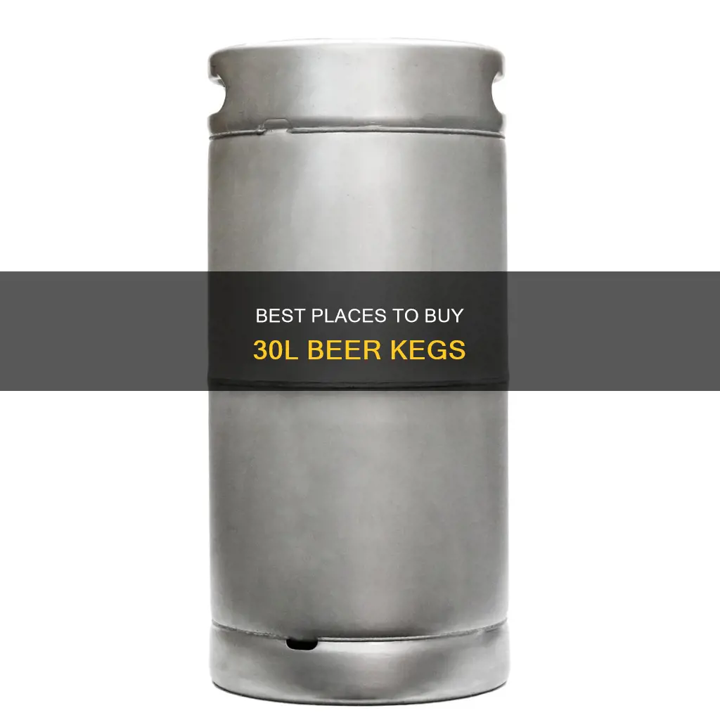 where to buy 30l beer keg