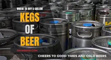 Best Places to Buy 5-Gallon Kegs of Beer