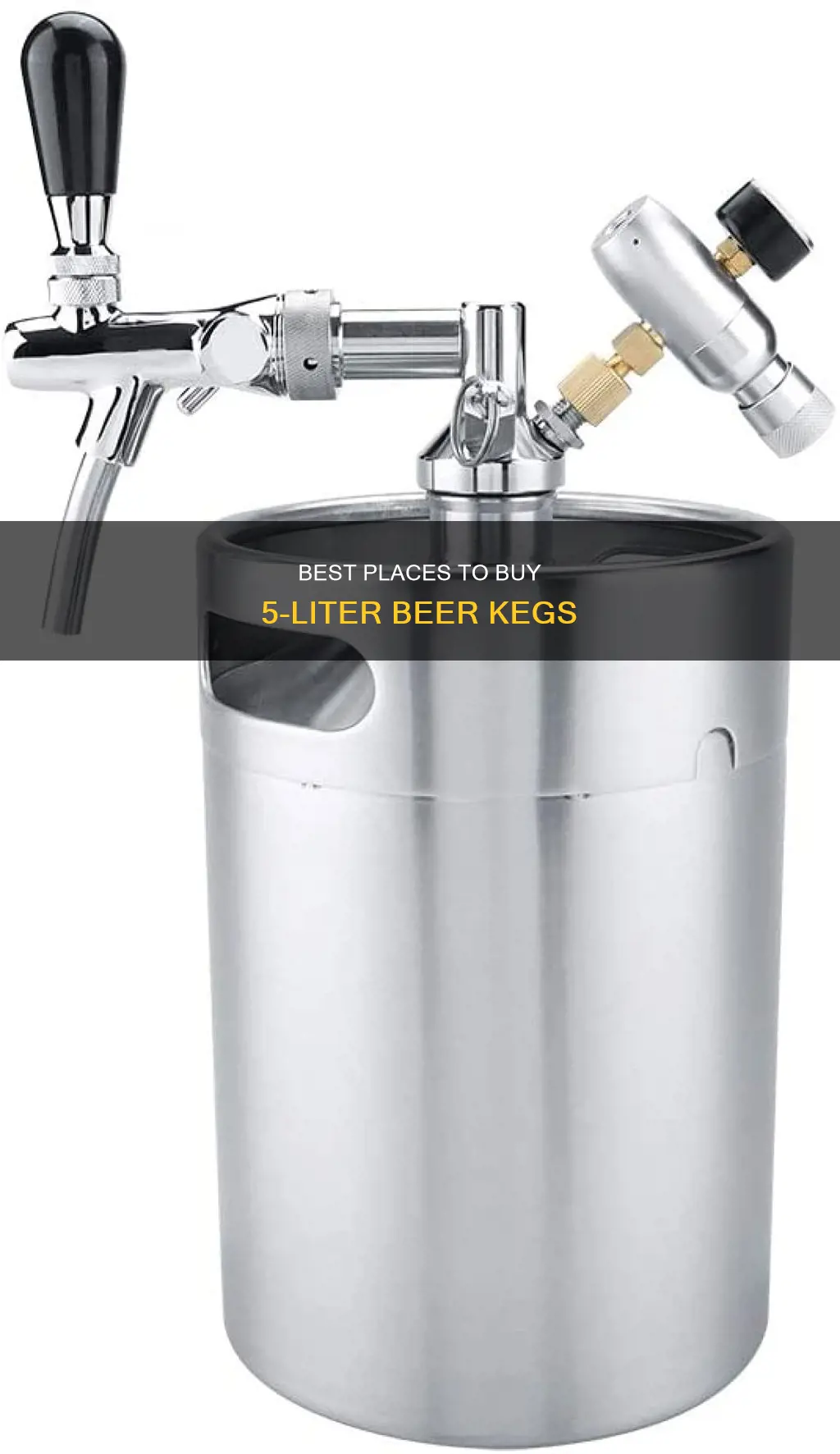 where to buy 5 ltr beer kegs