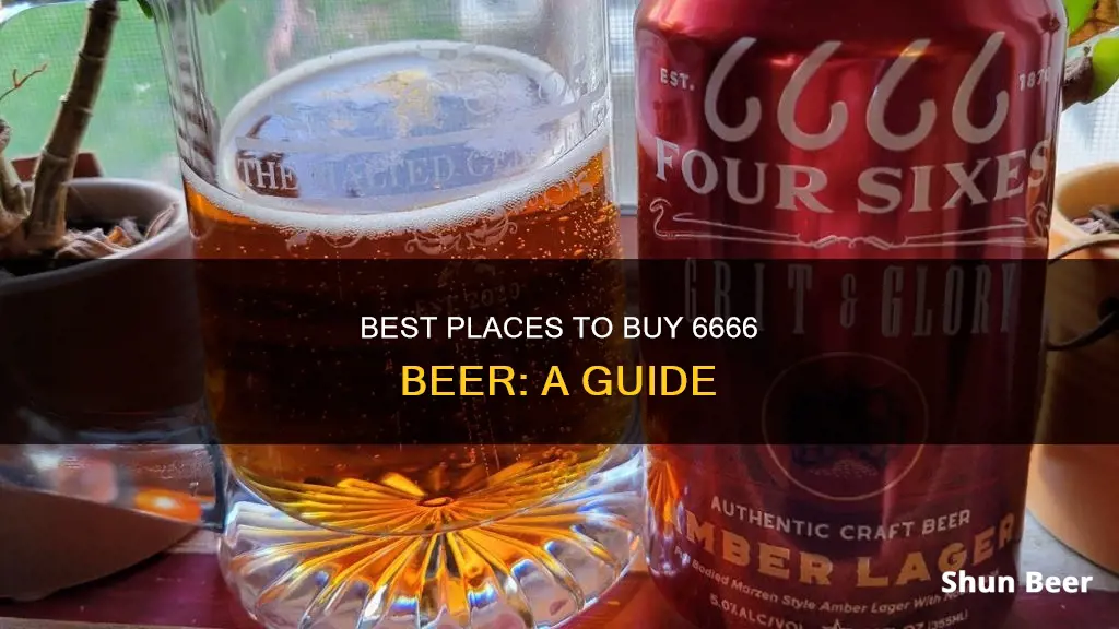 where to buy 6666 beer