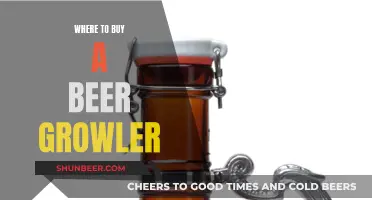 Best Beer Growler Buying Guide for You