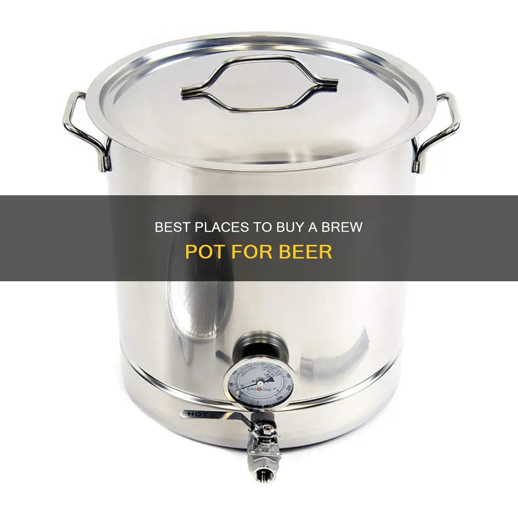 where to buy a brew pot for beer