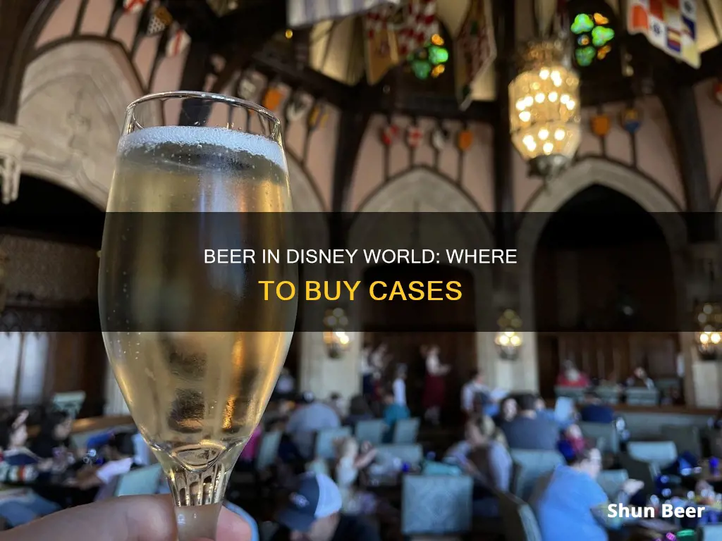 where to buy a case of beer in disney world