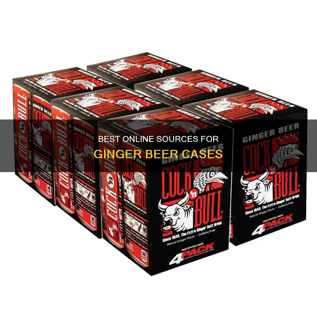 where to buy a case of ginger beer