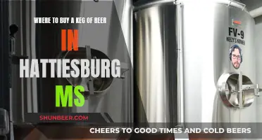 Best Places to Buy Beer Kegs in Hattiesburg, MS