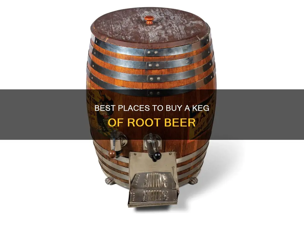 where to buy a keg of root beer