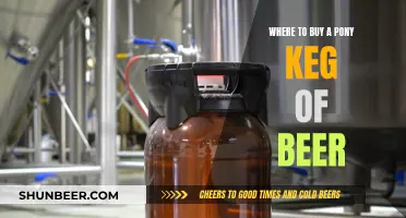 Best Places to Buy a Pony Keg of Beer