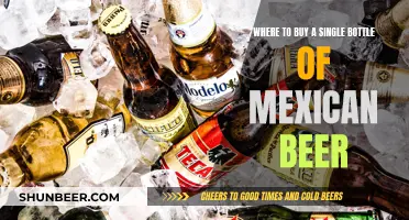 Best Mexican Beer: Where to Buy Single Bottles