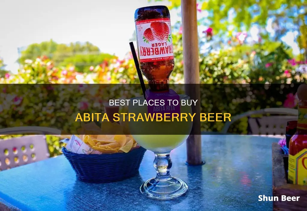 where to buy abita strawberry beer