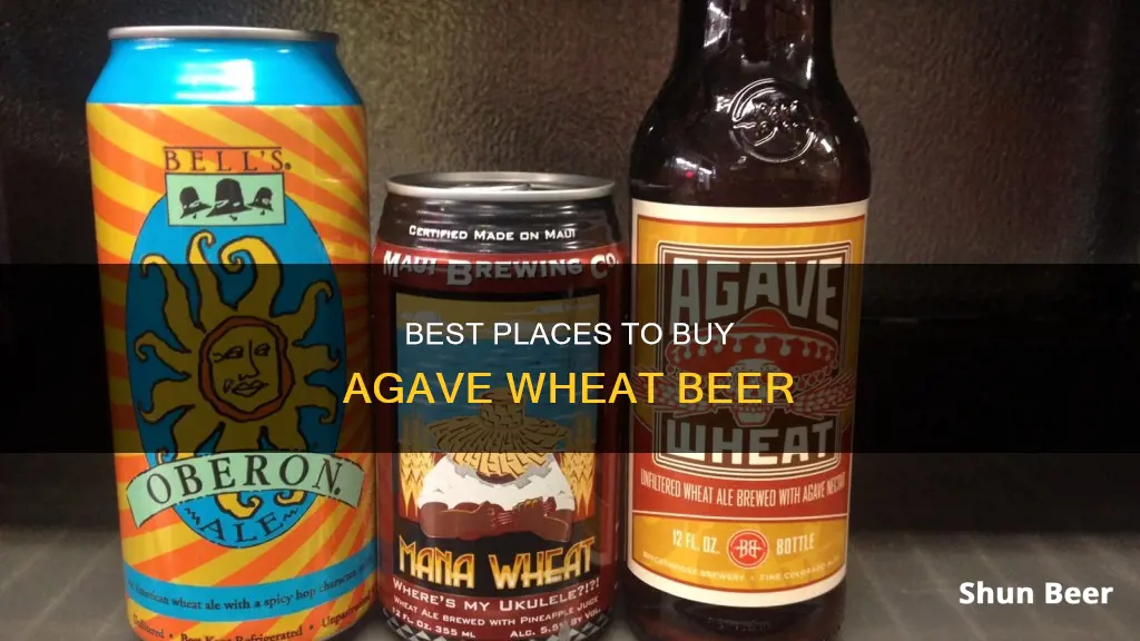 where to buy agave wheat beer