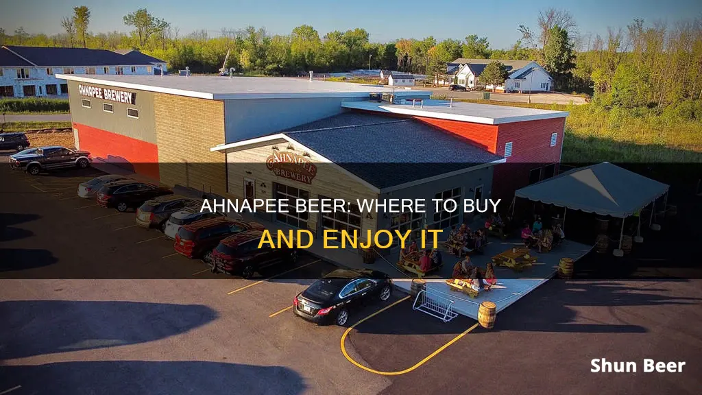 where to buy ahnapee beer