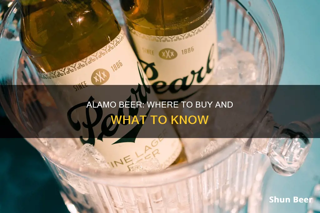 where to buy alamo beer