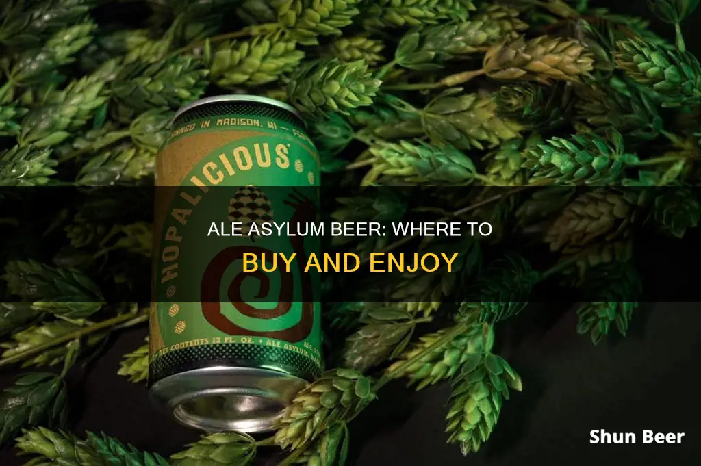 where to buy ale asylum beer