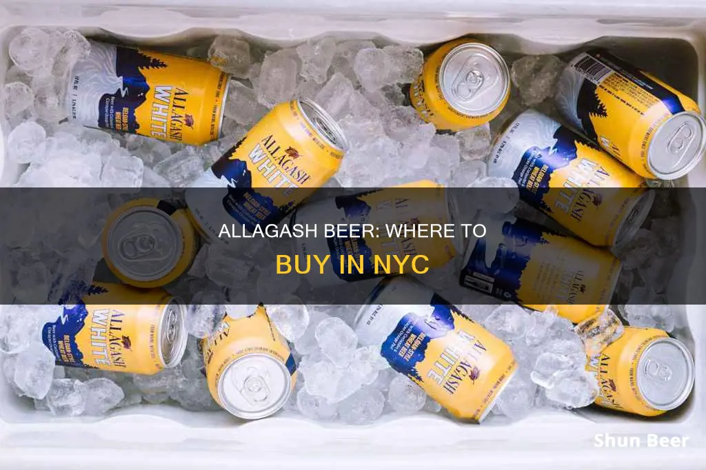 where to buy allagash beer in nyc