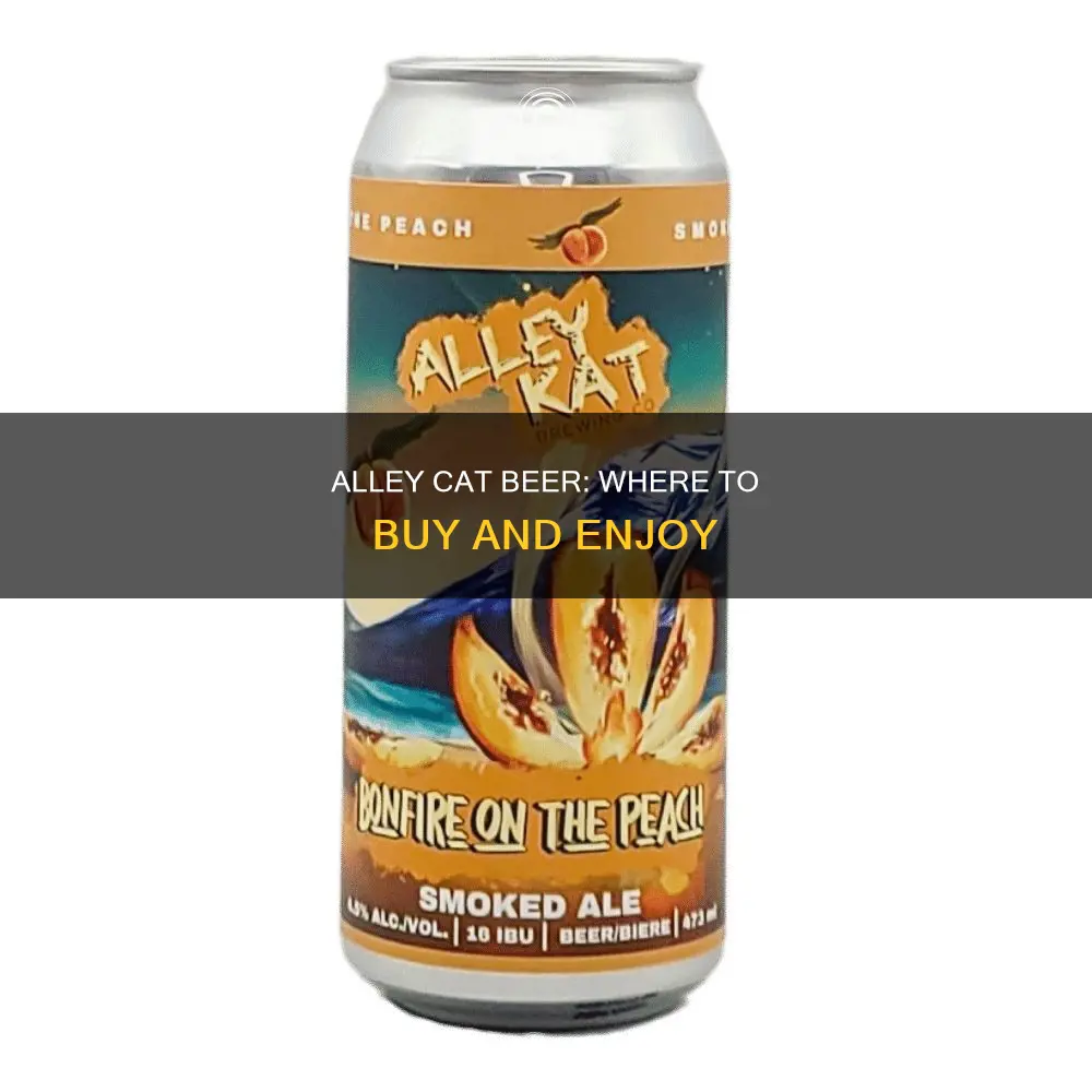 where to buy alley cat beer