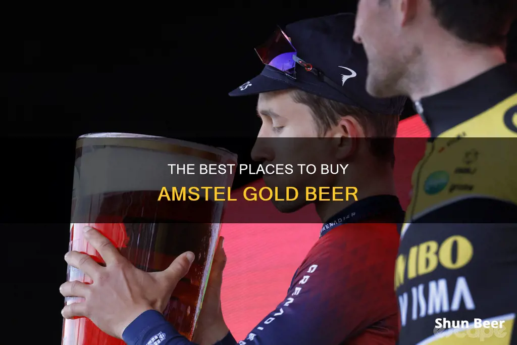 where to buy amstel gold beer