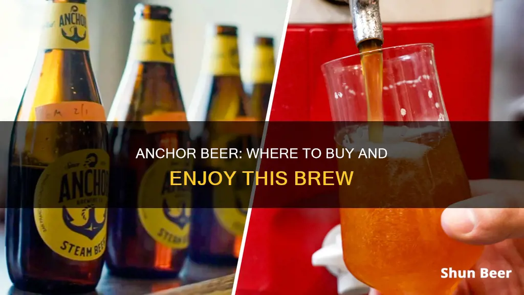 where to buy anchor beer