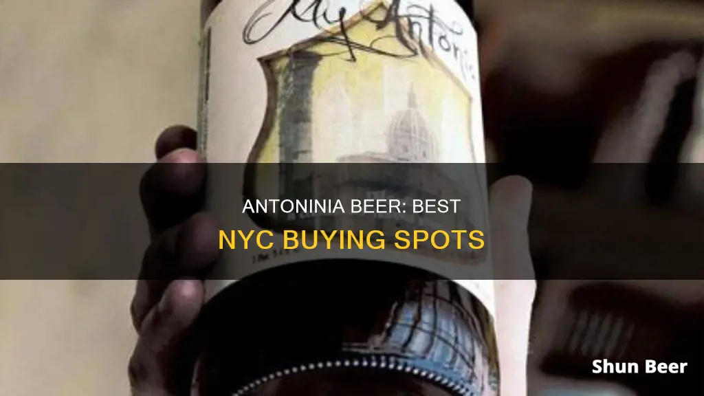 where to buy antoninia beer in nyc