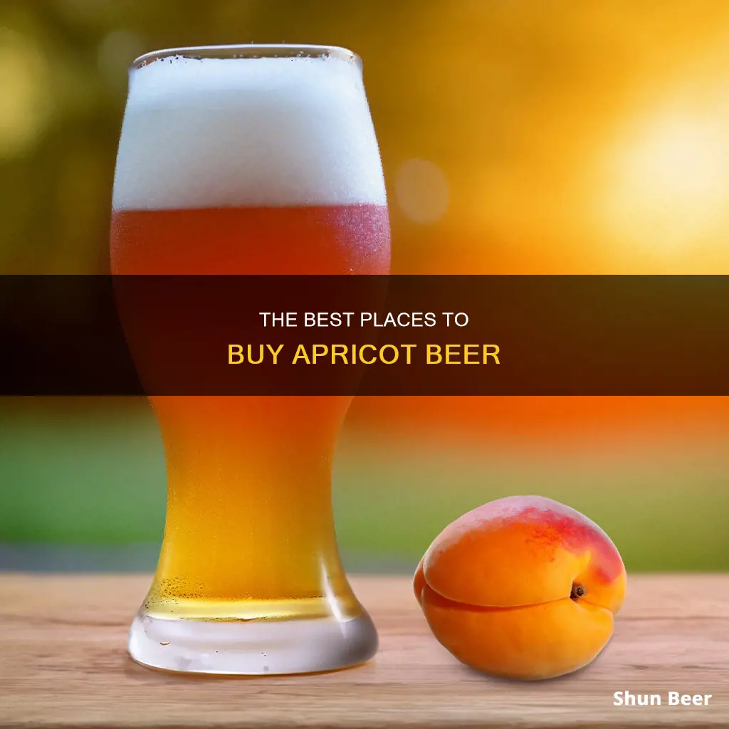 where to buy apricot beer