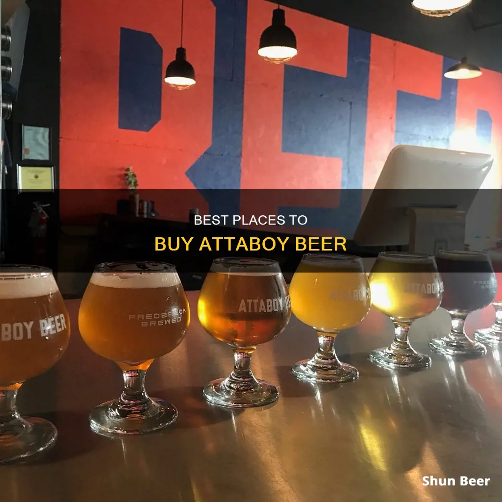 where to buy attaboy beer