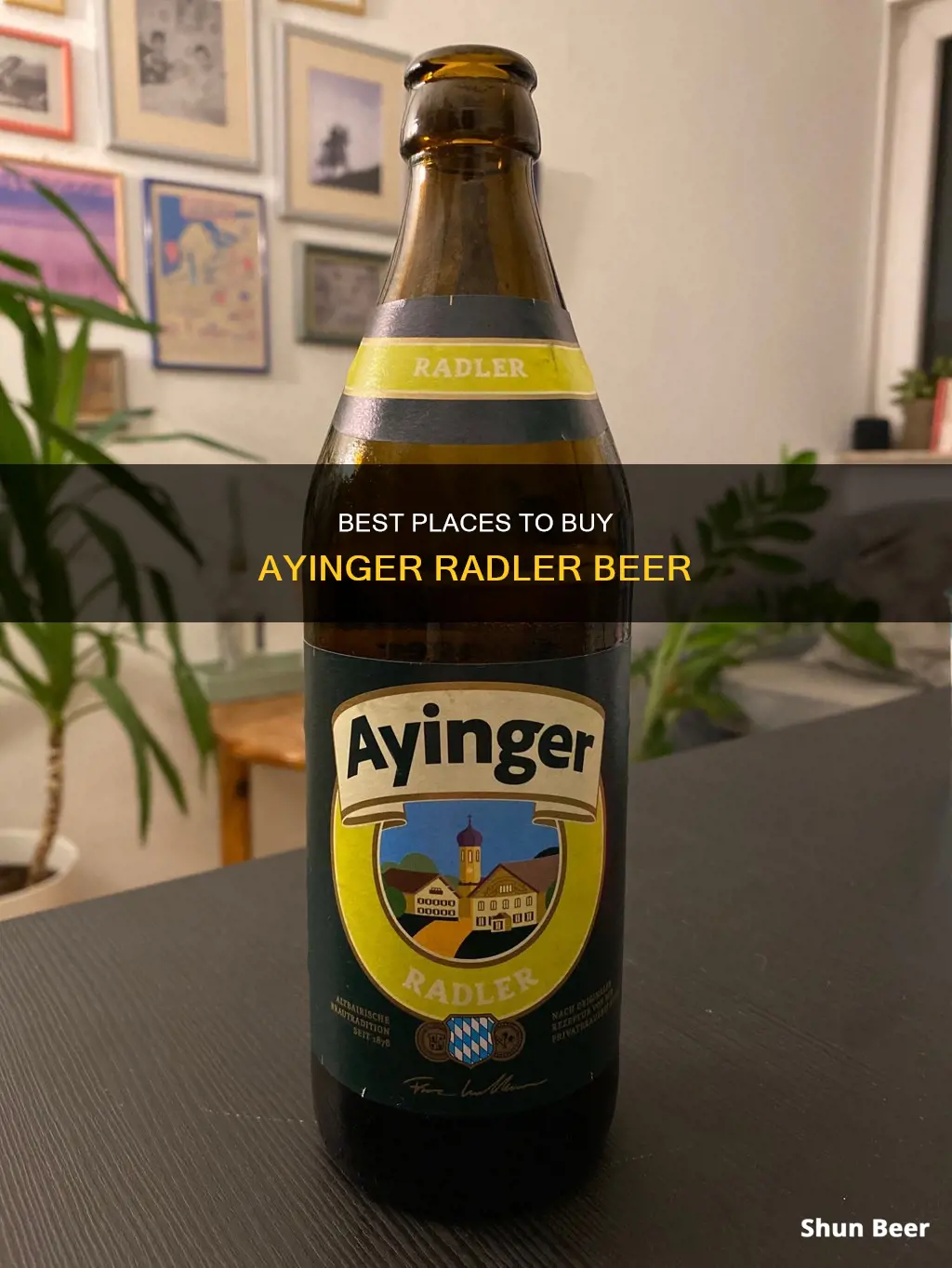 where to buy ayinger radler beer