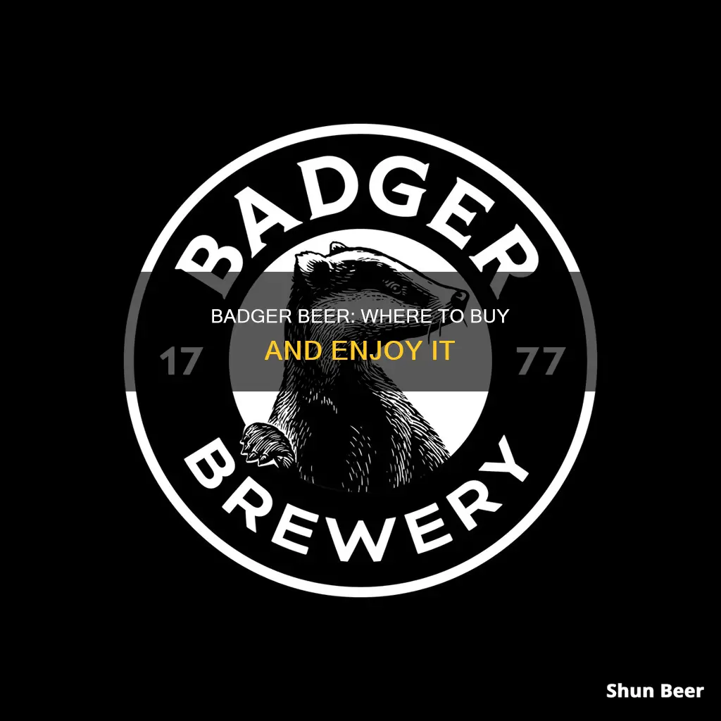 where to buy badger beer